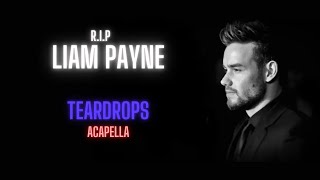 Liam Payne Teardrops Acapella  Vocals Only [upl. by Dirgis]