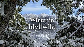 Winter in Idyllwild [upl. by Waylon]