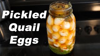 How To Make Delicious Pickled Quail Eggs Amazing Healthy Homemade Snack [upl. by Ahtibbat838]