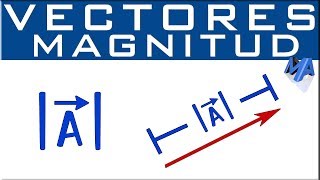 Magnitud Norma o Módulo de un Vector  longitud o medida [upl. by Ainivad]