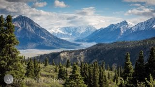 Adyashanti Guided Meditation  The Art of Listening [upl. by Merle693]