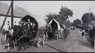 Vertrieben 1944 aus Siebenbürgen  Flucht  neue Heimat Weinviertel NÖ  erzählt von Hr Göttfert [upl. by Nnaillij264]