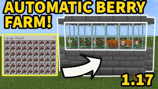 Minecraft 117 EASY AUTOMATIC SWEET BERRY FARM Java  Bedrock MCPEXboxPSSwitchWindows10 [upl. by Willdon]