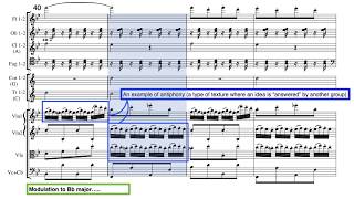 Haydn Clock Symphony 2nd Movement  analysis GCSE AQA Music Set Work [upl. by Ynaitirb558]