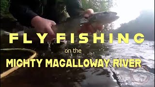 FLY FISHING on the MIGHTY MAGALLOWAY RIVER [upl. by Naasar]