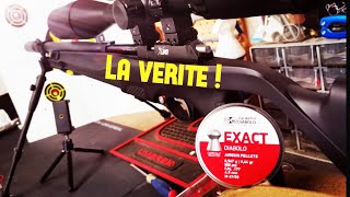 PLOMBS JSB EXACT 45 LE TEST [upl. by Jamille]