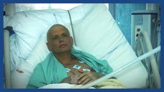 Who killed Alexander Litvinenko  Guardian Explainers [upl. by Doralynn]