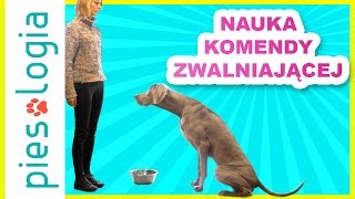 Nauka komendy zwalniającej [upl. by Harikahs]