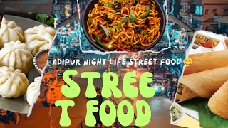 Gandhidham street food  adipur street food cart  nj suraj vlog  Gandhidham night life [upl. by Fair]