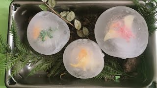 Huevos de Dinosaurios con Hielo🥚💦🦖 [upl. by Ikin]