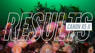 Canon R5 II FIRST RESULTS Underwater in the Pacific Northwest [upl. by Mariele]