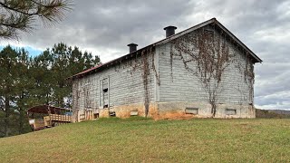 Ally Vlogs MERCIER Orchards In The Georgia Mountains Very Interesting Tune In  CHILLING INFORMATION [upl. by Starr697]