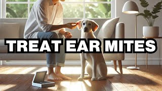 How To Treat Ear Mites In Dogs Explained [upl. by Afaw]