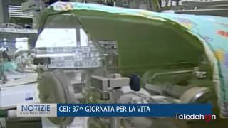 CEI 37 GIORNATA PER LA VITA [upl. by Ayt]