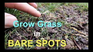 How to seed BARE SPOTS in your LAWN [upl. by Nnaaihtnyc]