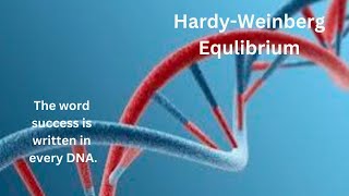 Hardy Weinberg equilibrium [upl. by Berkly]