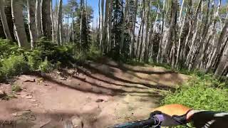 Downhill MTB POV Prospector [upl. by Ahsirak]