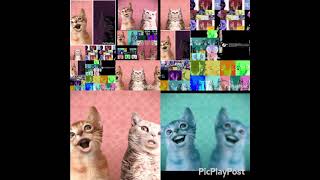 Too many preview 2 Numa cats [upl. by Fidelia657]