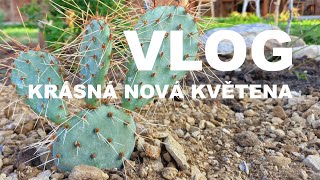 Honzík Lací  Vlog Nová krásná květena [upl. by Mattie576]