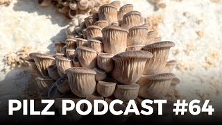 Pilz Podcast 64 [upl. by Zaraf]