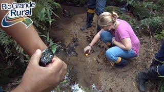 Ações são implantadas para o controle dos borrachudos  Rio Grande Rural [upl. by Leyla786]