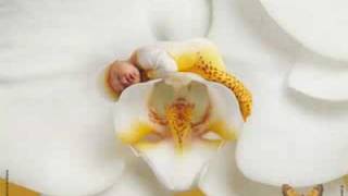 Anne Geddes [upl. by Lyndel]