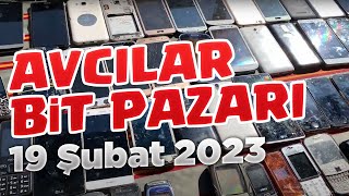 AVCILAR BİT PAZARI  19 ŞUBAT 2023 [upl. by Ynnatirb]