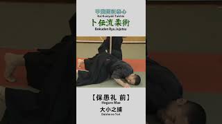 Bokuden Ryu Jujutsu【Hogure Mae】Daisho no Tori 卜伝流柔術【保愚礼 前】大小之捕 shorts [upl. by Donnie]