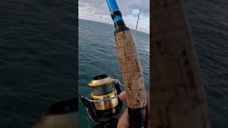 Florida keys bridge fishing [upl. by Noied341]