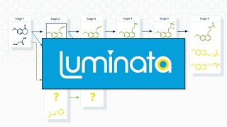 Luminata  The Process Chemists Workflow Webinar and Demo [upl. by Mazurek283]