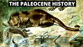 The Evolution Of The Paleocene Era [upl. by Nissie]