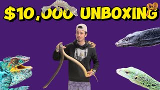 Unreal 10000 Reptile Unboxing [upl. by Becki331]