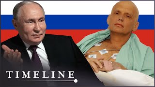 Why Putin Ordered Alexander Litvinenkos Murder  Hunting The KGB Killers  Timeline [upl. by Boffa262]