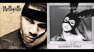 Arianas Dilemma  Nelly vs Ariana Grande Mashup [upl. by Crow]