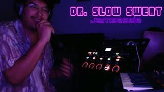 Dr Slow Sweat  Vakantie Jamsessie  Loopstation Gitaar Synth en MEER [upl. by Acino900]