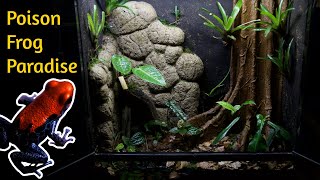 Creating a Massive Jungle Vivarium for Poison Dart Frogs  Vivarium Rebirth Part 4 [upl. by Nihahs295]