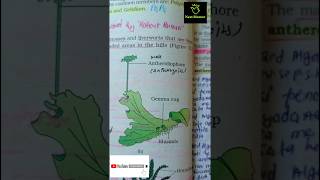 Marchantia  Bryophytes ncert imp diagram class 11th ncert biology neet2025 aiims liverwort [upl. by Ylenats895]