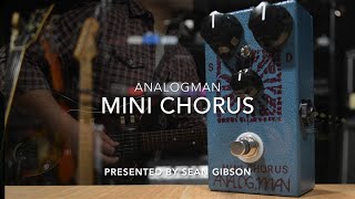 Analog Man  Mini Chorus with Mix Knob Chorus with Sean Gibson of The Noise Reel [upl. by Haile]