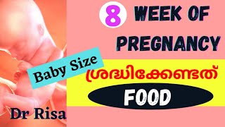 Pregnancy Week by Week Malayalam  8 week of Pregnancy Malayalam  2 month of Pregnancy [upl. by Eladroc]