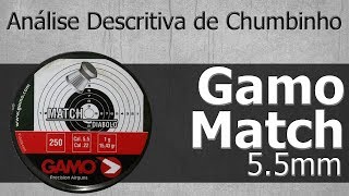 Análise Descritiva  Chumbo Gamo Match 55mm  Tiro ao Alvo e Caça [upl. by Inavoig]