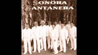 SONORA SANTANERA MIX 10 CANCIONES PEGADITAS [upl. by Tremain]