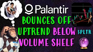 Palantir Stock PLTR Bounces Off Uptrend Below Volume Shelf [upl. by Rimahs]