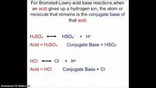 Conjugate Acids and Bases [upl. by Einegue]