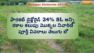 Paraquat Dichloride 24 SL  పారకట్ డైక్లోరైడ్ అన్ని రకాల కలుపు మొక్కల నివారిణి తెలుగు [upl. by Helali498]