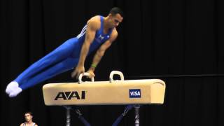 Danell Leyva  Pommel Horse  2012 Visa Championships  Sr Men  Day 1 [upl. by Adnorrahs]