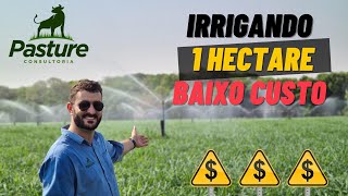 ESSE É O JEITO MAIS BARATO DE VOCÊ IRRIGAR 1 HECTARE DE PASTO [upl. by Vedis]