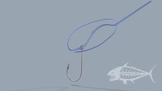 Worlds Fair fishing knot for tying line to line or line to leader [upl. by Yttocs]