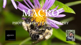 Macro Photography amp Videography [upl. by Nitaj]