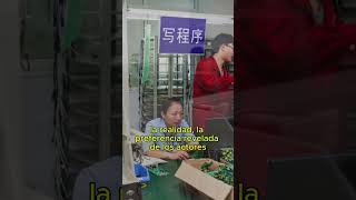 Los procesos de producción en China son insuperables [upl. by Ydnas708]