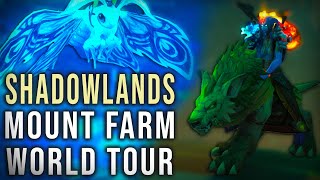 WoW Mount Farm World Tour  Shadowlands  MaldraxxusArdenweald [upl. by Tricia648]